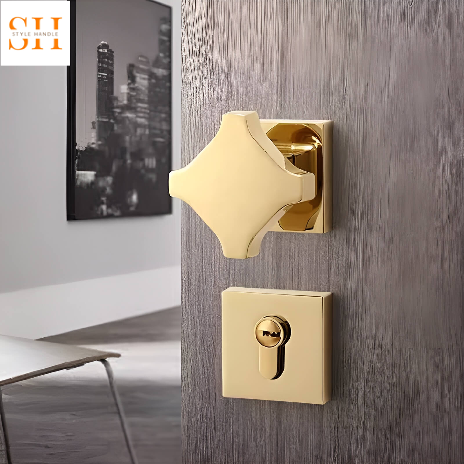 Khóa cửa phòng tay nắm hình học sáng tạo DG6547