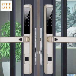 Khóa cửa kính vân tay thẻ từ bảo mật cao T2316